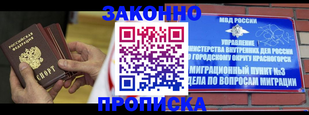 прописка для школы в Ельне