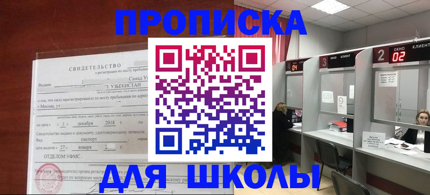 где прописаться в Ельне